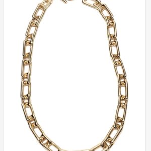 Big medium length stylish and fun chain necklace